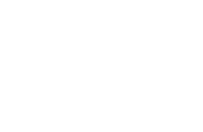 Induction heater schematic