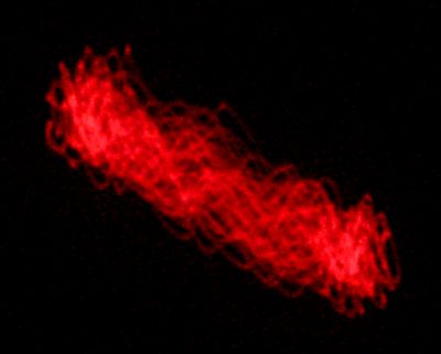 lissajous1